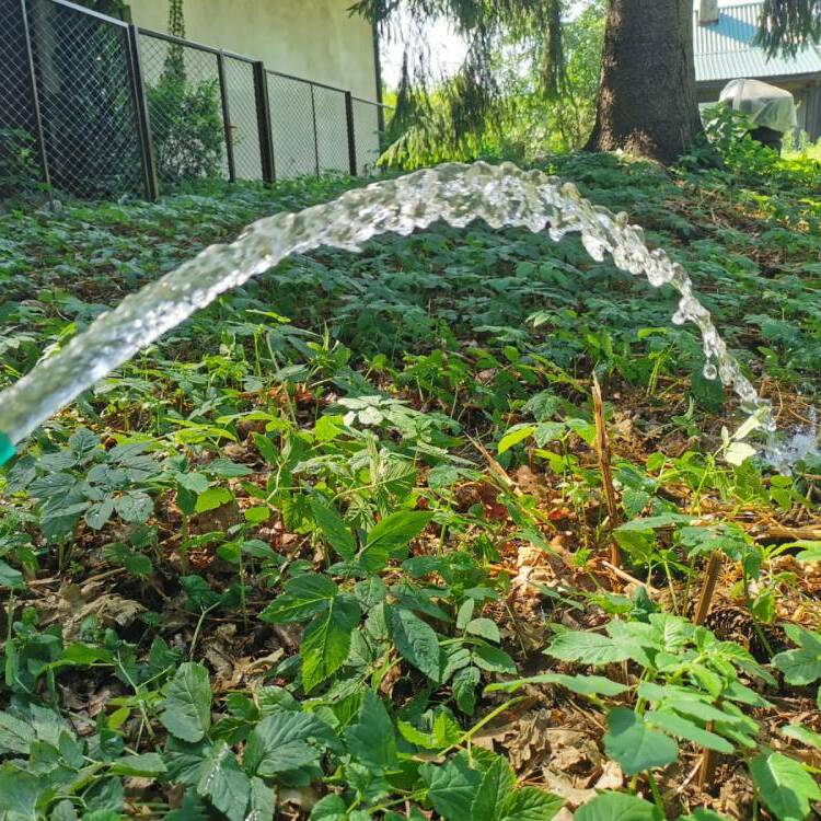 ūdens spices ierīkošanas cenas